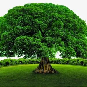 Meet your Posher, Byron